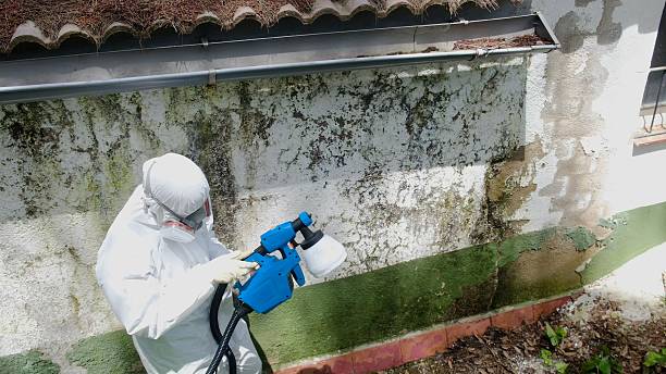 Top rated local Mold Remediation specialists in Westwood, PA